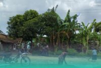 Salah satu petani di Kecamatan Jenggawah, yang sedang menjemur padinya. (Foto: Fadli/Frensia).