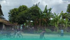 Salah satu petani di Kecamatan Jenggawah, yang sedang menjemur padinya. (Foto: Fadli/Frensia).