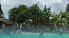 Salah satu petani di Kecamatan Jenggawah, yang sedang menjemur padinya. (Foto: Fadli/Frensia).