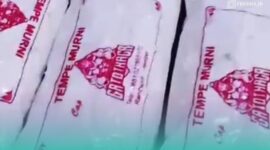 Tempe milik Miftahul Huda, perajin tempe dari Desa Kaliwining, Kecamatan Rambipuji, Jember (Foto: Fadli/Frensia). 