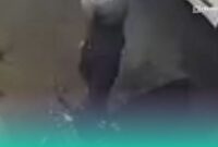 Tangkapan layar dari Instagram @Info Jember.