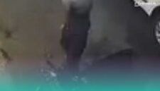 Tangkapan layar dari Instagram @Info Jember.