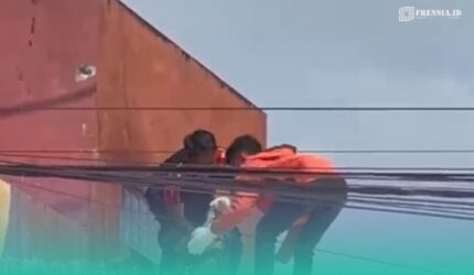 Korban yang tewas tersengat listrik saat dievakuasi Damkar Jember (Foto: Istimewa).