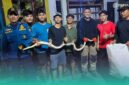 Petugas Damkar saat setelah mengeluarkan ular piton di tumpukan bambu (Foto: Istimewa). 