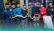 Petugas Damkar saat setelah mengeluarkan ular piton di tumpukan bambu (Foto: Istimewa). 