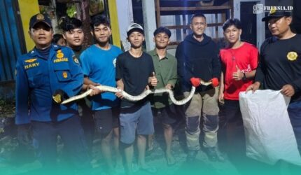 Petugas Damkar saat setelah mengeluarkan ular piton di rumah warga (Foto: Istimewa).