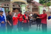Gambar DPC PDI Perjuangan Banyuwangi Juga Serahkan Hewan Kurban Ke Panti Asuhan Mutiara Insan (Sumber: Istimewa)