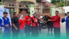 Gambar DPC PDI Perjuangan Banyuwangi Juga Serahkan Hewan Kurban Ke Panti Asuhan Mutiara Insan (Sumber: Istimewa)