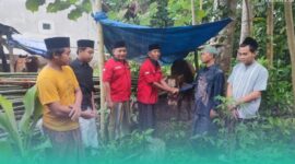 Gambar DPC PDI Perjuangan Banyuwangi Serahkan Hewan Kurban ke Ponpes (Sumber: Istimewa)