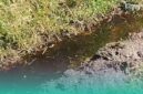 Tangkapan layar dari video warga setempat terkait limbah TPA Pakusari yang cemari sawah (Foto: Istimewa). 