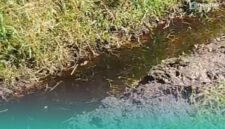 Tangkapan layar dari video warga setempat terkait limbah TPA Pakusari yang cemari sawah (Foto: Istimewa). 