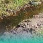 Tangkapan layar dari video warga setempat terkait limbah TPA Pakusari yang cemari sawah (Foto: Istimewa). 