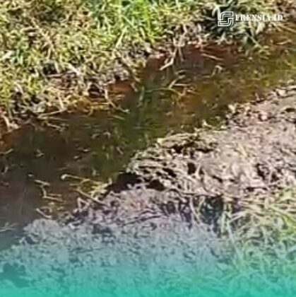 Tangkapan layar dari video warga setempat terkait limbah TPA Pakusari yang cemari sawah (Foto: Istimewa). 