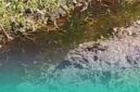 Tangkapan layar dari video warga setempat terkait limbah TPA Pakusari yang cemari sawah (Foto: Istimewa). 