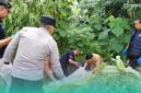 Pihak Kepolisian dari Tim Inafis saat melakukan evakuasi mayat lansia (Foto: Istimewa). 