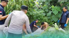 Pihak Kepolisian dari Tim Inafis saat melakukan evakuasi mayat lansia (Foto: Istimewa). 