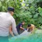 Pihak Kepolisian dari Tim Inafis saat melakukan evakuasi mayat lansia (Foto: Istimewa). 