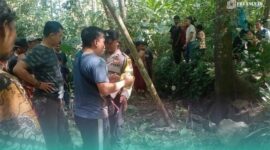 warga setempat saat menemukan kerangka manusia di Gunung Tengu, Kecamatan Kalisat, Kabupaten Jember (Foto: Istimewa). 