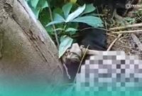 Penampakan jenazah yang hanya tersisa kerangkanya di kebun singkong milik warga setempat (Foto: Istimewa). 
