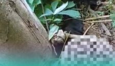 Penampakan jenazah yang hanya tersisa kerangkanya di kebun singkong milik warga setempat (Foto: Istimewa).
