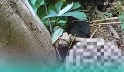 Penampakan jenazah yang hanya tersisa kerangkanya di kebun singkong milik warga setempat (Foto: Istimewa).