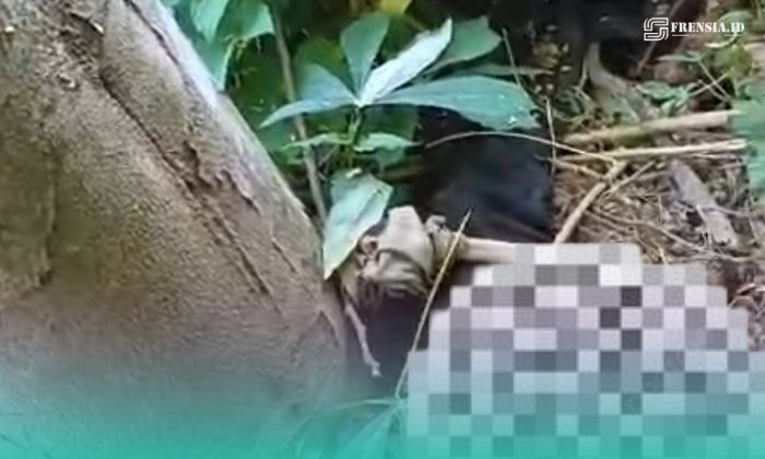 Penampakan jenazah yang hanya tersisa kerangkanya di kebun singkong milik warga setempat (Foto: Istimewa). 