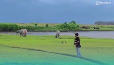 Pesona Danau Kedung Garinten di Kecamatan Kencong, Kabupaten Jember (Foto: Tangkapan layar).