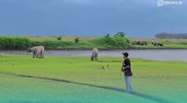 Pesona Danau Kedung Garinten di Kecamatan Kencong, Kabupaten Jember (Foto: Tangkapan layar). 