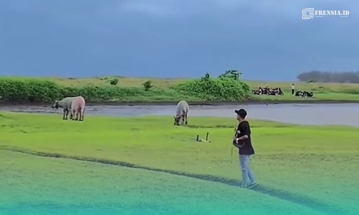 Pesona Danau Kedung Garinten di Kecamatan Kencong, Kabupaten Jember (Foto: Tangkapan layar). 