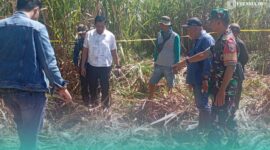 Pihak kepolisian Polsek Ajung dan Tim Inafis Polres Jember saat melakukan olah TKP (Foto: Istimewa). 