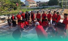 Peringati Bulan Bung Karno, Kader PDI Perjuangan Banyuwangi Nyekar dan Doa Bersama di Taman Makam Pahlawan