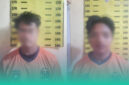 Gambar Dua Pemuda di Banyuwangi Ditangkap Usai Diduga Curi 79 Kg Jeruk dari Kebun Warga (Sumber: Istimewa)