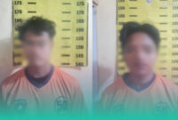 Gambar Dua Pemuda di Banyuwangi Ditangkap Usai Diduga Curi 79 Kg Jeruk dari Kebun Warga (Sumber: Istimewa)