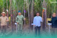 KASAU (memakai baju TNI) saat menghadiri panen raya tebu di Jember (Foto: Sigit/Frensia). 