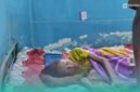 Lutfiyah, warga Desa Sukosari, Kecamatan Sukowono, Kabupaten Jember (Foto: Fadli/Frensia). 