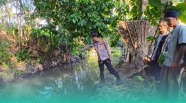 Gambar Lansia Pikun di Banyuwangi Ditemukan Meninggal, Tengkurap di Sungai Belakang Rumah (Sumber: Istimewa)