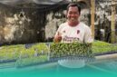 Gambar Tempat Berburu Bunga Anggrek di Jember! Ratusan Varietas Unggul dan Ada Yang Langkah (Sumber: Mashur Imam)