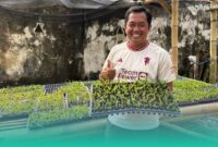 Gambar Tempat Berburu Bunga Anggrek di Jember! Ratusan Varietas Unggul dan Ada Yang Langkah (Sumber: Mashur Imam)