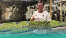 Gambar Tempat Berburu Bunga Anggrek di Jember! Ratusan Varietas Unggul dan Ada Yang Langkah (Sumber: Mashur Imam)