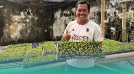 Gambar Tempat Berburu Bunga Anggrek di Jember! Ratusan Varietas Unggul dan Ada Yang Langkah (Sumber: Mashur Imam)