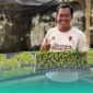 Gambar Tempat Berburu Bunga Anggrek di Jember! Ratusan Varietas Unggul dan Ada Yang Langkah (Sumber: Mashur Imam)