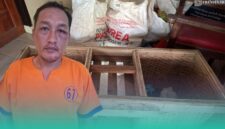 Gambar Warga Pesanggaran Pergoki Tetangga Curi 151 Kg Buah Naga, Digelandang ke Polisi (Sumber: Istimewa)