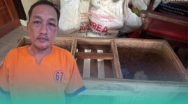 Gambar Warga Pesanggaran Pergoki Tetangga Curi 151 Kg Buah Naga, Digelandang ke Polisi (Sumber: Istimewa)