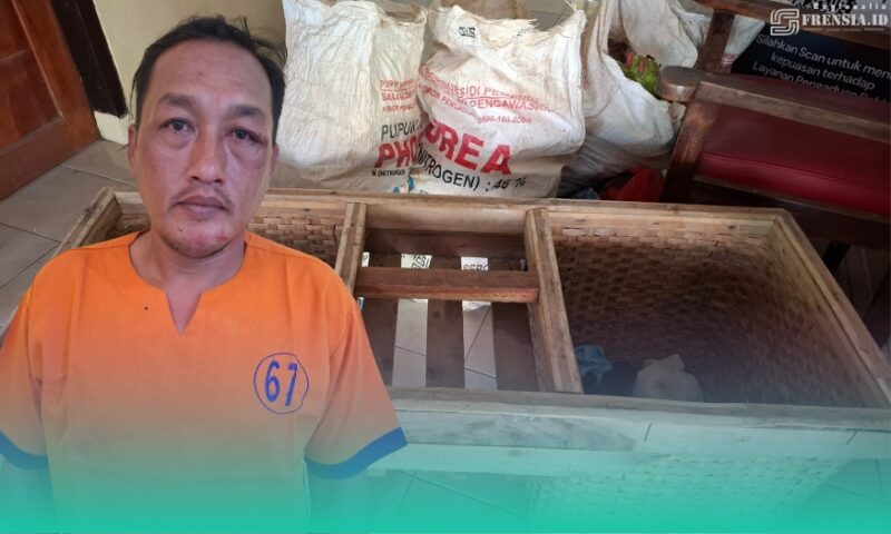 Gambar Warga Pesanggaran Pergoki Tetangga Curi 151 Kg Buah Naga, Digelandang ke Polisi (Sumber: Istimewa)