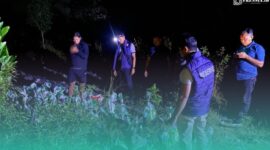 Gambar Demi Dirgahayu Hukum! Tim Gabungan Polda Babel dan Satlap Tricakti Gagalkan Penyelundupan 1,6 Ton Timah Illegal (Sumber: Istimewa)