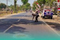Polisi saat menghampiri di tempat kejadian kecelakaan di jalan raya jurusan Jember-Lumajang, Dusun Paguan, Desa Petung, Kecamatan Bangsalsari, Jember (Foto: Satlantas Polres Jember). 