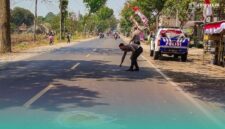Polisi saat menghampiri di tempat kejadian kecelakaan di jalan raya jurusan Jember-Lumajang, Dusun Paguan, Desa Petung, Kecamatan Bangsalsari, Jember (Foto: Satlantas Polres Jember).
