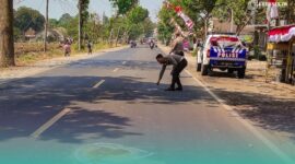 Polisi saat menghampiri di tempat kejadian kecelakaan di jalan raya jurusan Jember-Lumajang, Dusun Paguan, Desa Petung, Kecamatan Bangsalsari, Jember (Foto: Satlantas Polres Jember). 