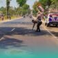 Polisi saat menghampiri di tempat kejadian kecelakaan di jalan raya jurusan Jember-Lumajang, Dusun Paguan, Desa Petung, Kecamatan Bangsalsari, Jember (Foto: Satlantas Polres Jember). 