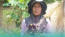 Salihatul Hasanah (53), petani terong asal Sumber Pinang, Kecamatan Pakusari (Foto: Istimewa). 